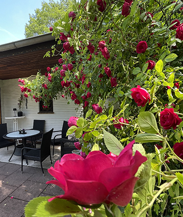 terrasse 01